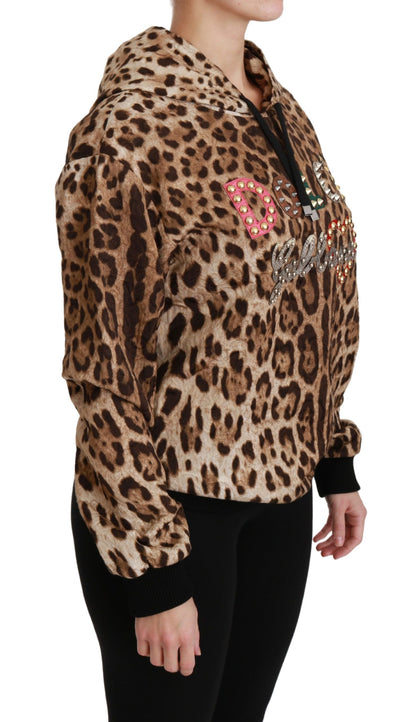 Brauner Ayers-Leopardenpullover mit Kapuze und Nieten