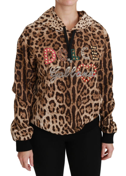 Brauner Ayers-Leopardenpullover mit Kapuze und Nieten