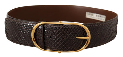 Dolce & Gabbana Elegant Python Leather Belt with Gold Buckle