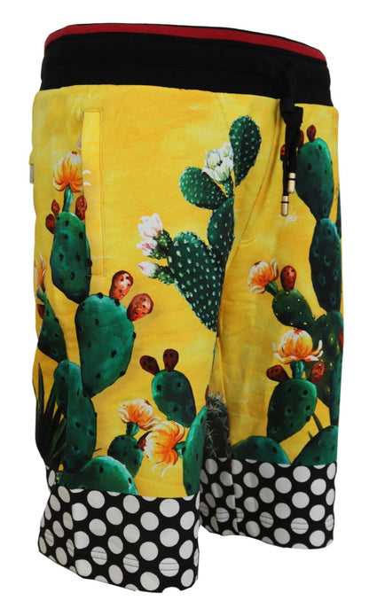 Shorts in felpa di cotone con stampa cactus multicolor