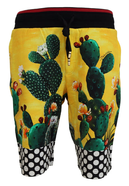 Shorts in felpa di cotone con stampa cactus multicolor