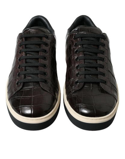 Dolce &amp; Gabbana Elegante Low-Top-Sneakers aus exotischem Leder