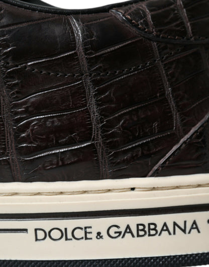 Dolce &amp; Gabbana Elegante Low-Top-Sneakers aus exotischem Leder