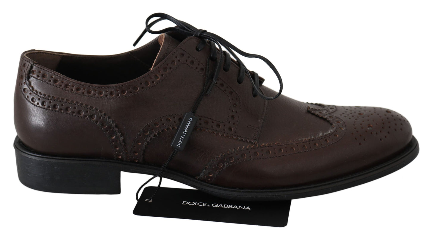 Dolce &amp; Gabbana Elegante Derby-Brogues aus braunem Leder