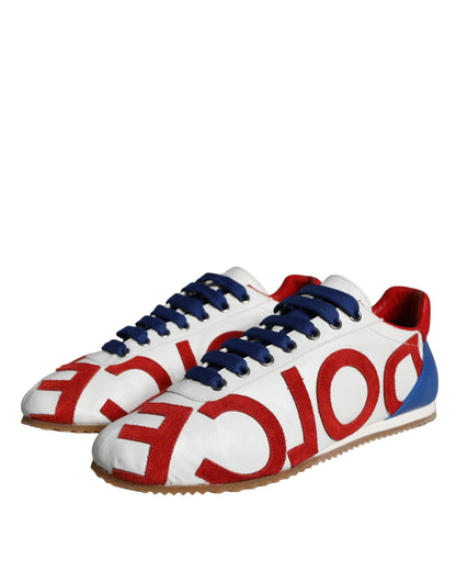 Dolce &amp; Gabbana Mehrfarbige Freizeit-Sneakers aus Leder mit Logo