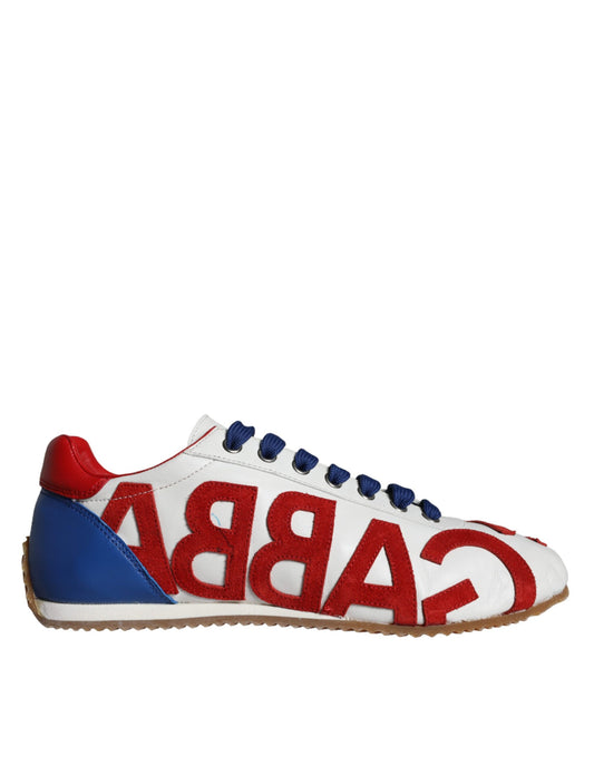 Dolce &amp; Gabbana Mehrfarbige Freizeit-Sneakers aus Leder mit Logo