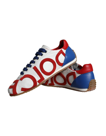 Dolce &amp; Gabbana Mehrfarbige Freizeit-Sneakers aus Leder mit Logo