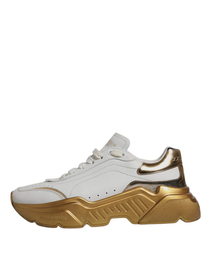 Dolce &amp; Gabbana Daymaster Low Top Sneakers in Weißgold