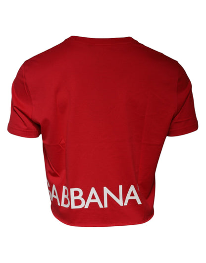 Dolce &amp; Gabbana – Kurzes T-Shirt mit Rundhalsausschnitt und Logo-Print in Rot