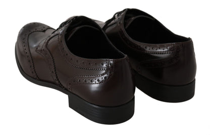 Scarpe Oxford con punta alari in pelle marrone broques