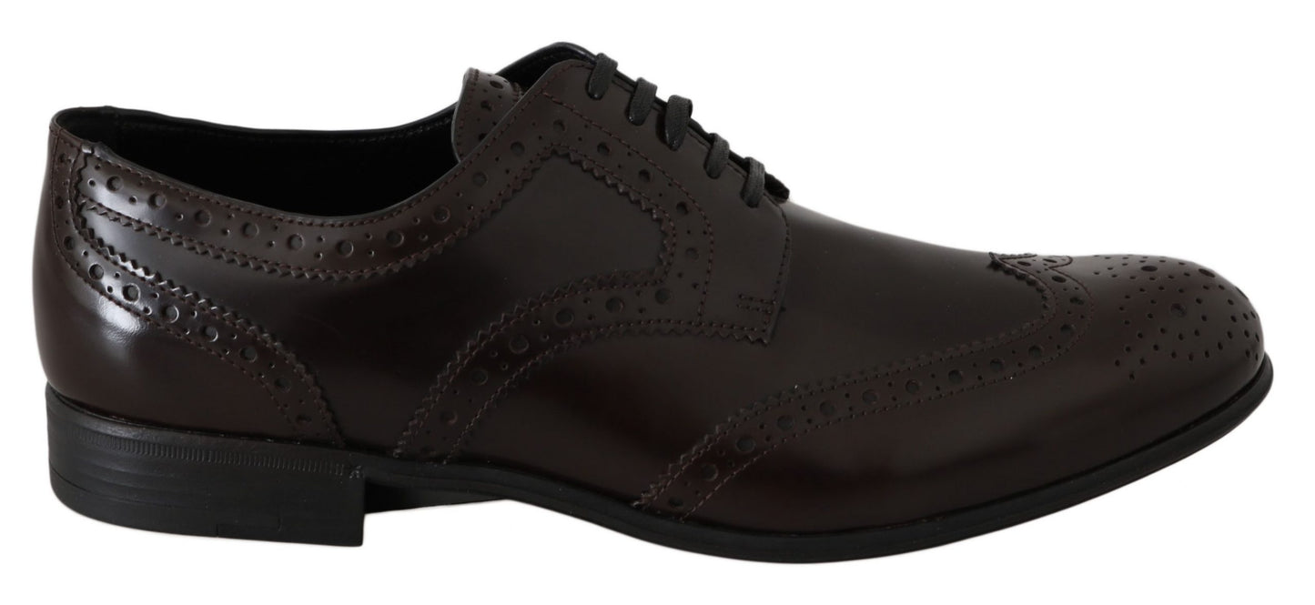 Scarpe Oxford con punta alari in pelle marrone broques